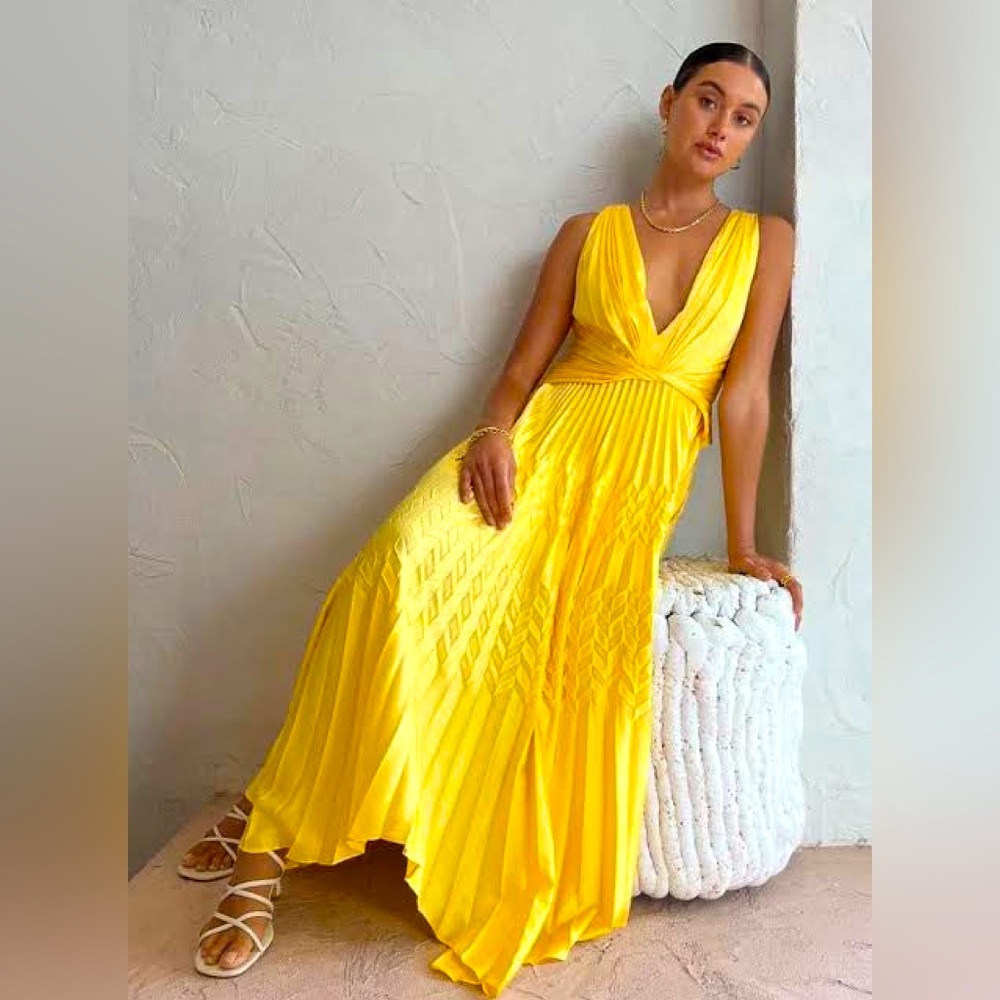 Acler Bettencourt Pleated Dress